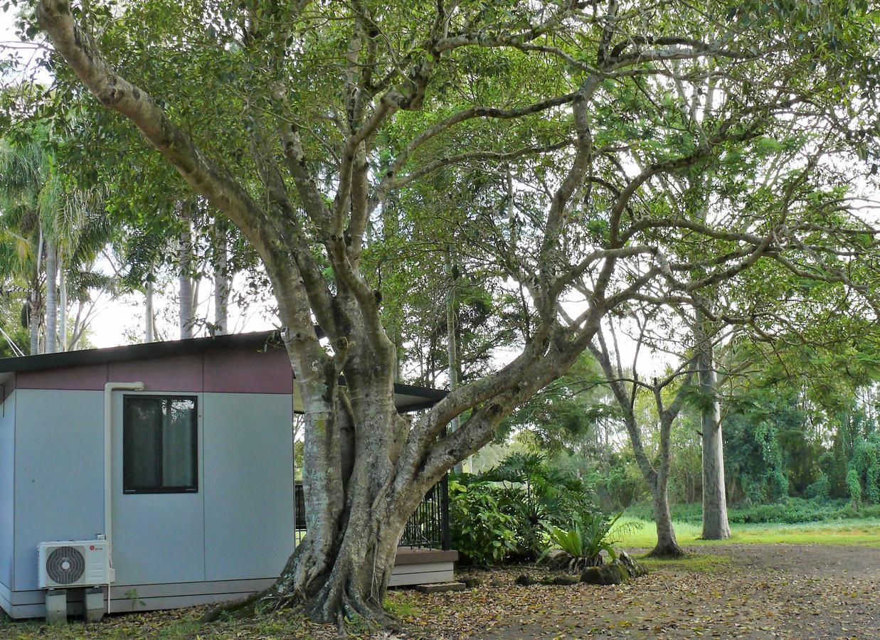 Lismore Lake Holiday Park Εξωτερικό φωτογραφία
